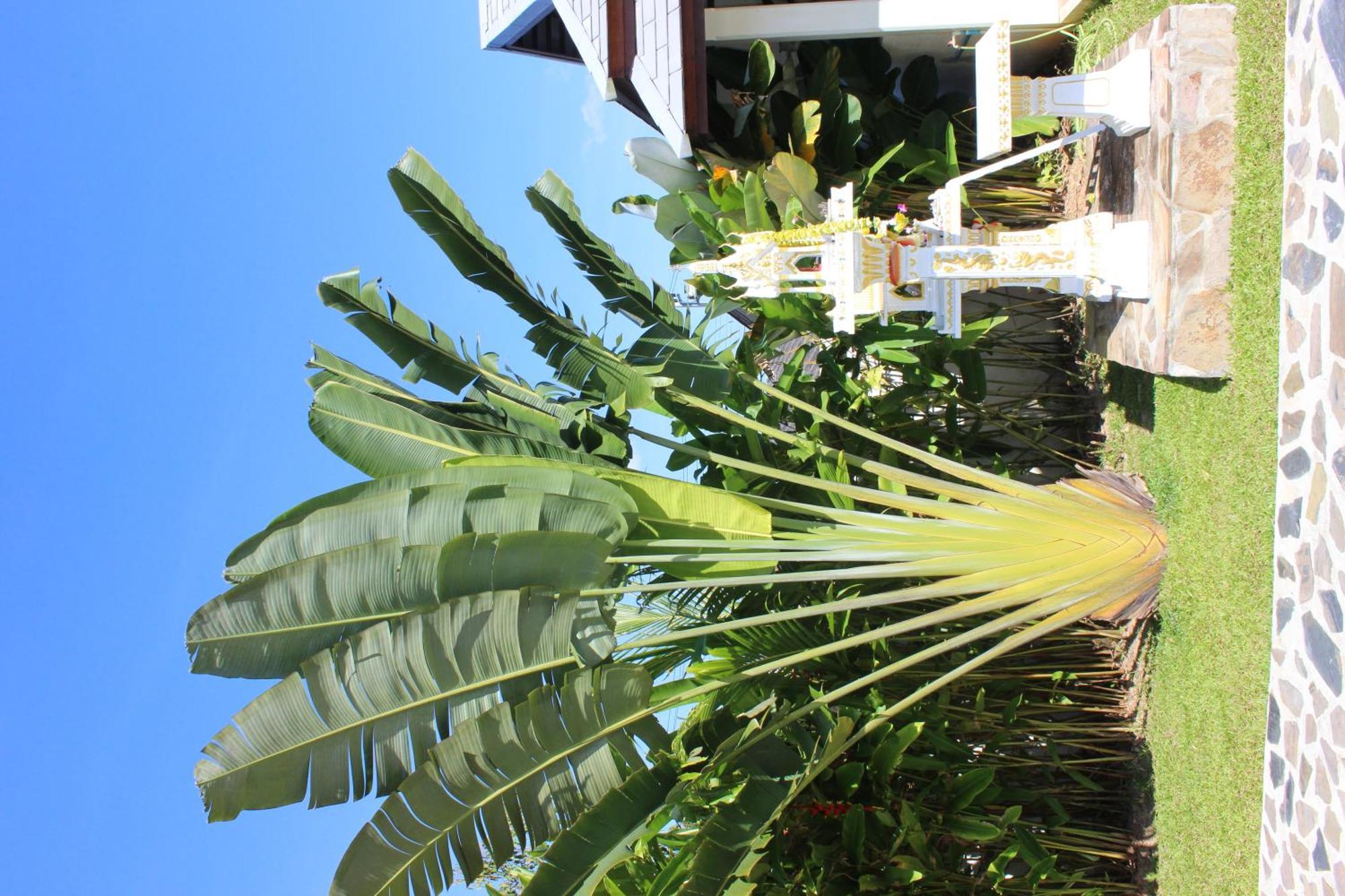 Villa Colina Khao Lak Rooms And Bungalows - Adults Only Екстериор снимка